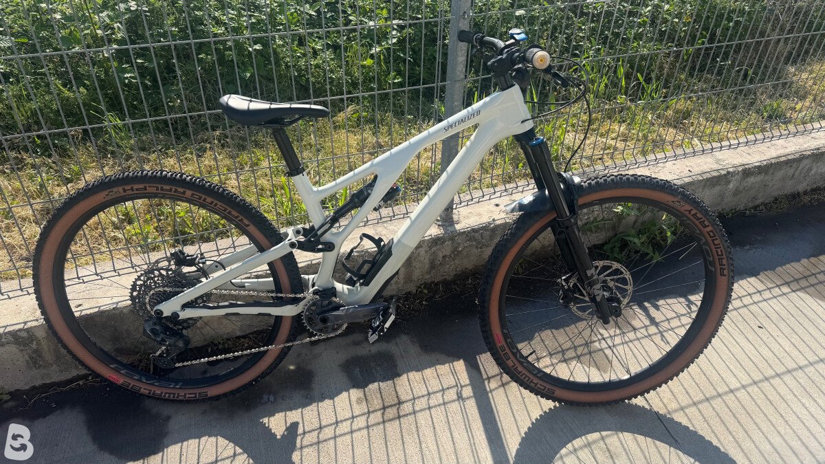 Specialized Stumpjumper EVO Expert Gloss Birch / Taupe 2022