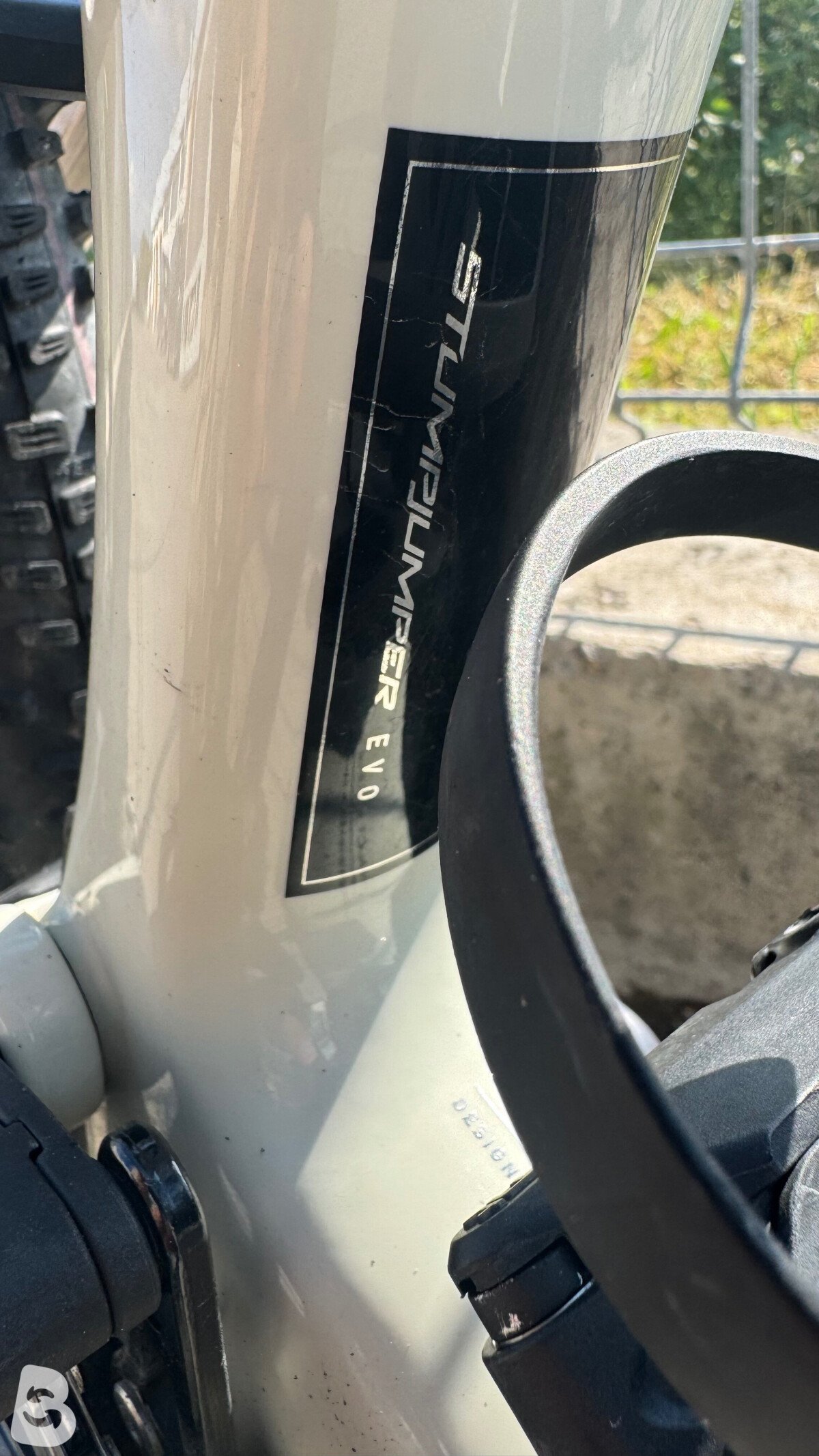 Specialized Stumpjumper EVO Expert Gloss Birch / Taupe 2022