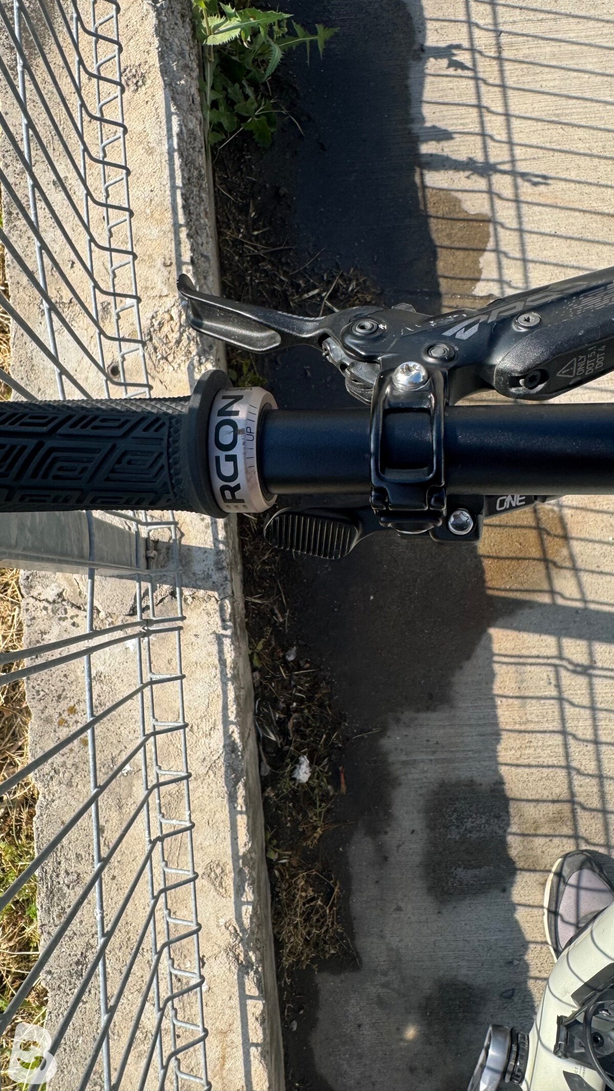 Specialized Stumpjumper EVO Expert Gloss Birch / Taupe 2022