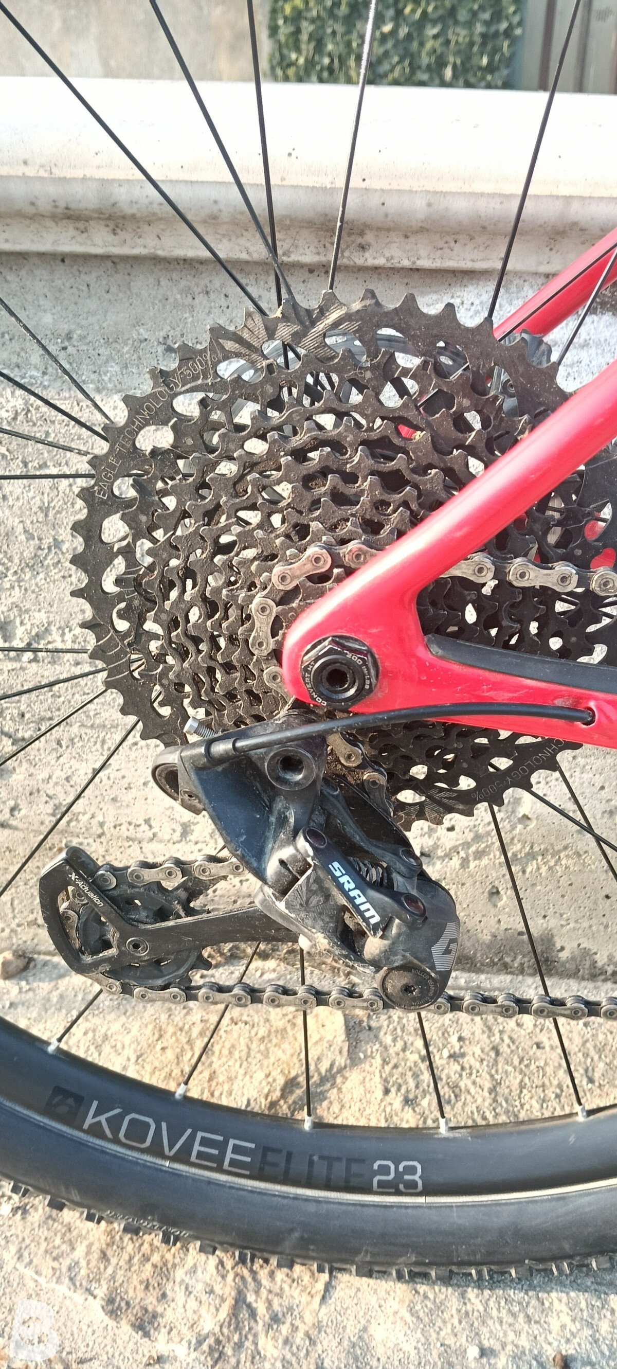 Trek Procaliber SL 9.8 2019