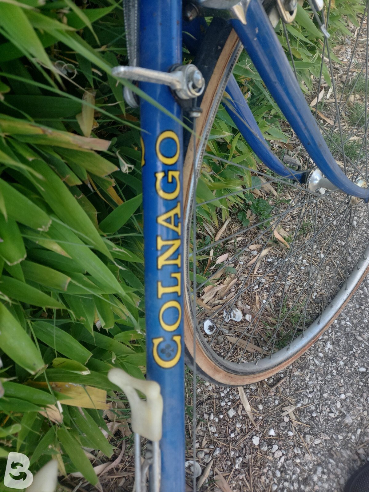 Colnago Super anni ’70 1975