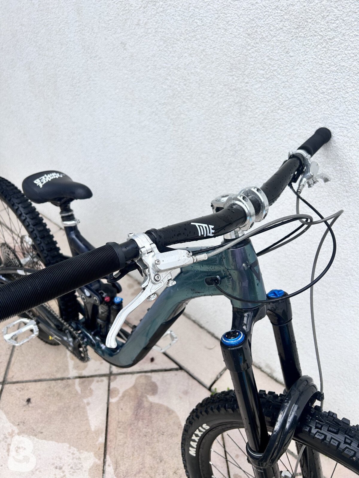 Giant Reign 1 2023