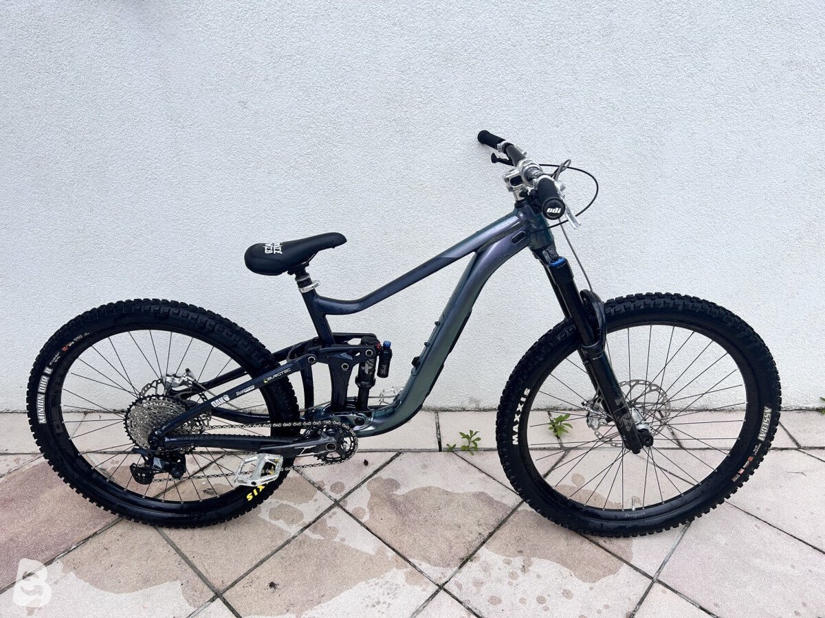 Giant Reign 1 2023