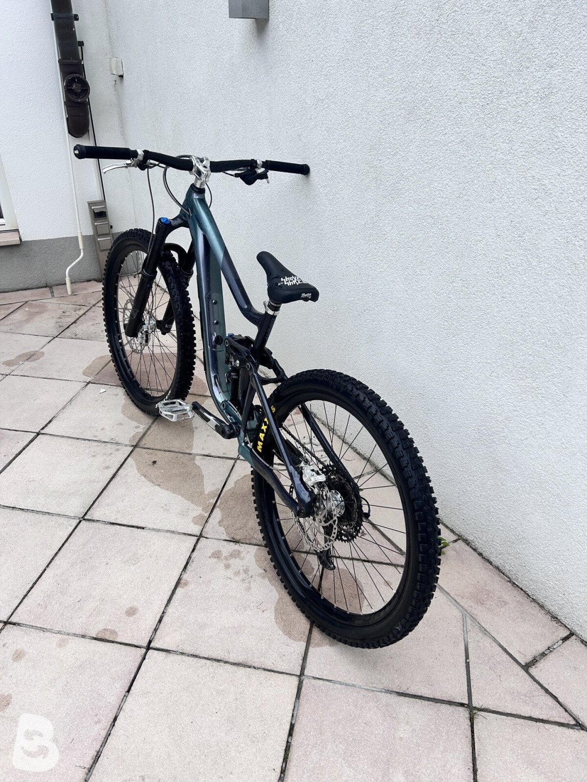 Giant Reign 1 2023