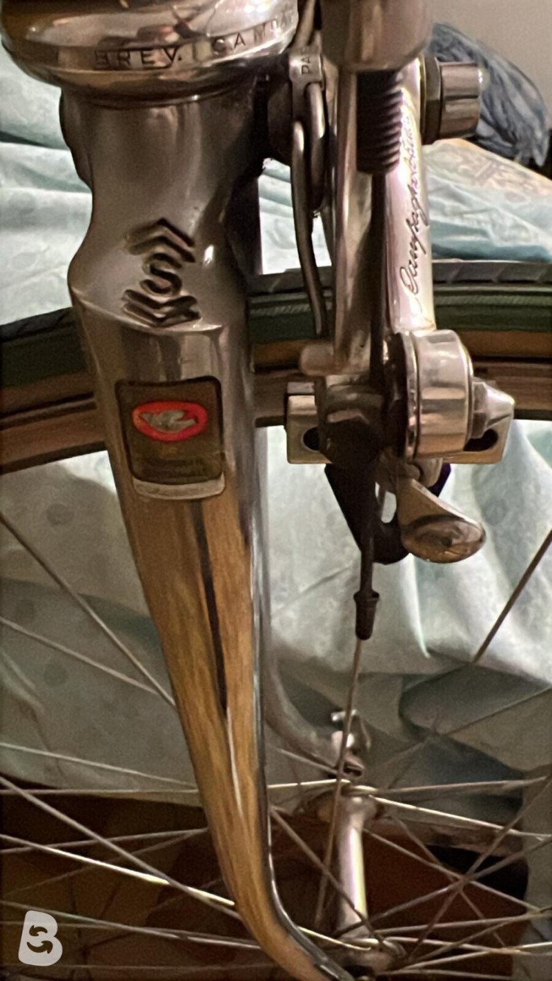 Marabelli Saporito Full Campagnolo 50th Anniv. 1985