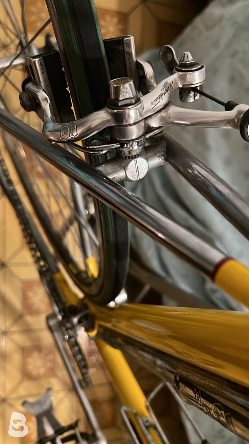 Marabelli Saporito Full Campagnolo 50th Anniv. 1985