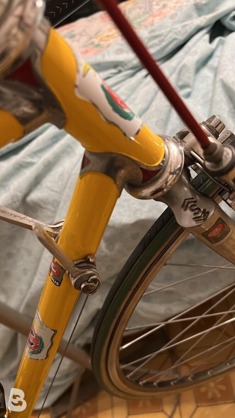 Marabelli Saporito Full Campagnolo 50th Anniv. 1985