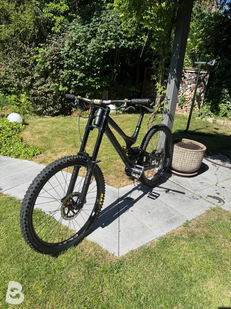 Specialized Demo 8 2019