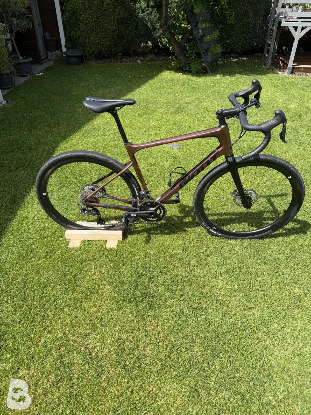 Giant Revolt Advanced Pro 1 2021