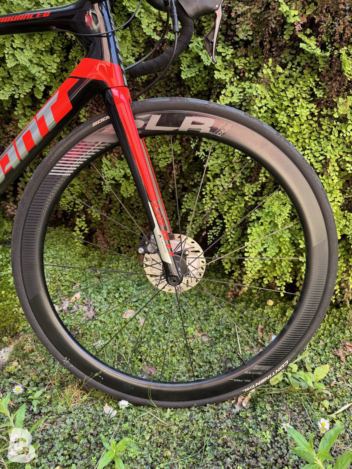 Giant TCR Advanced 2018