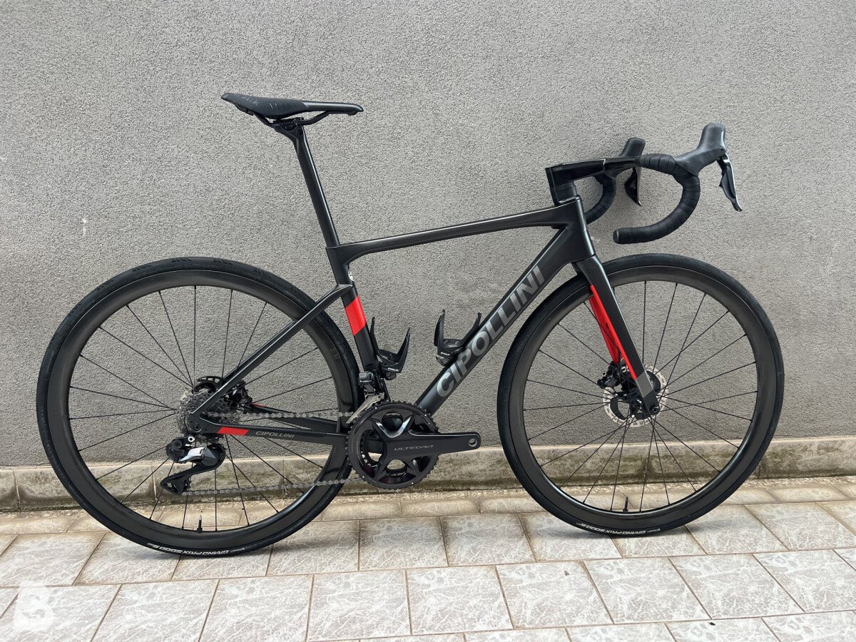 Cipollini Dolomia 2023