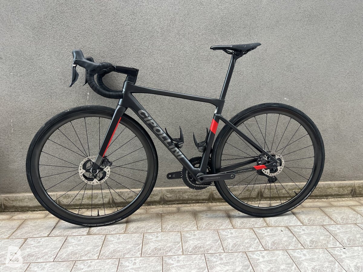 Cipollini Dolomia 2023