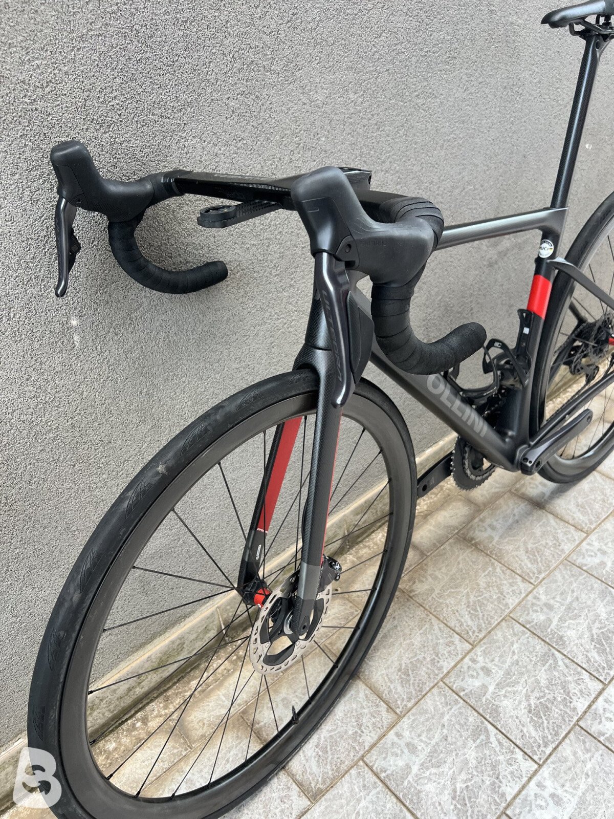 Cipollini Dolomia 2023