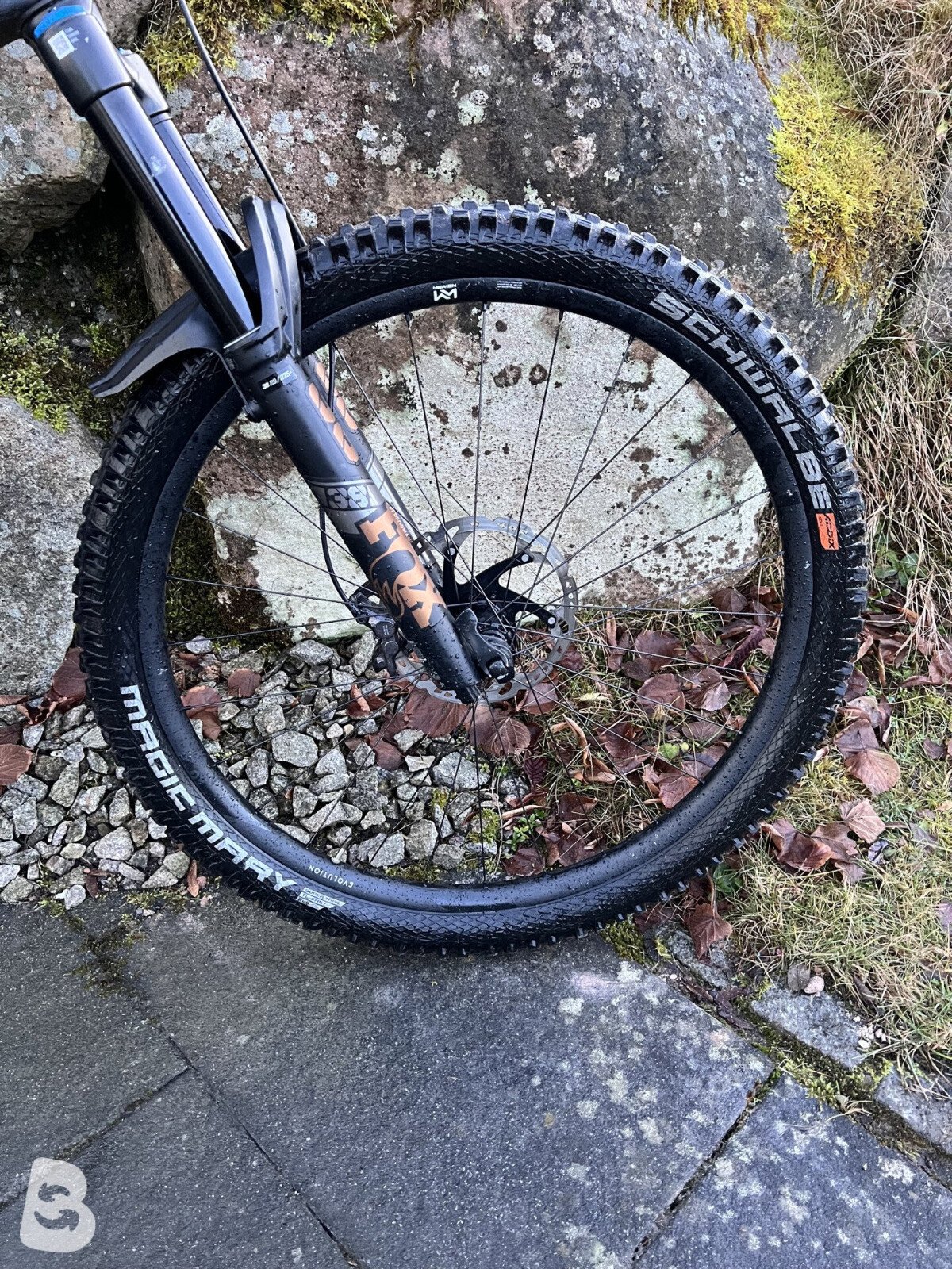 Radon Swoop 10.0 2025