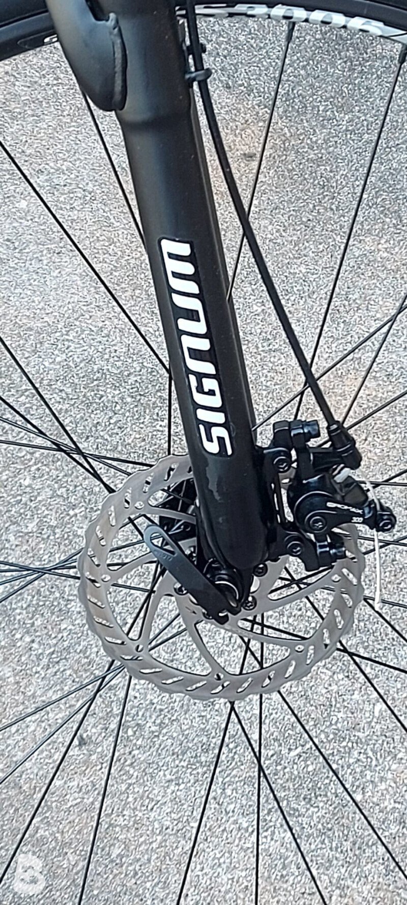 Lombardo Be Riding S300 2022