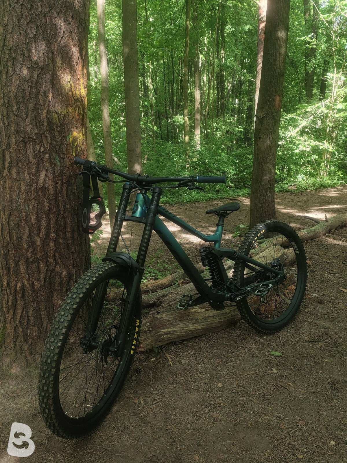 Scott Gambler 910 2023