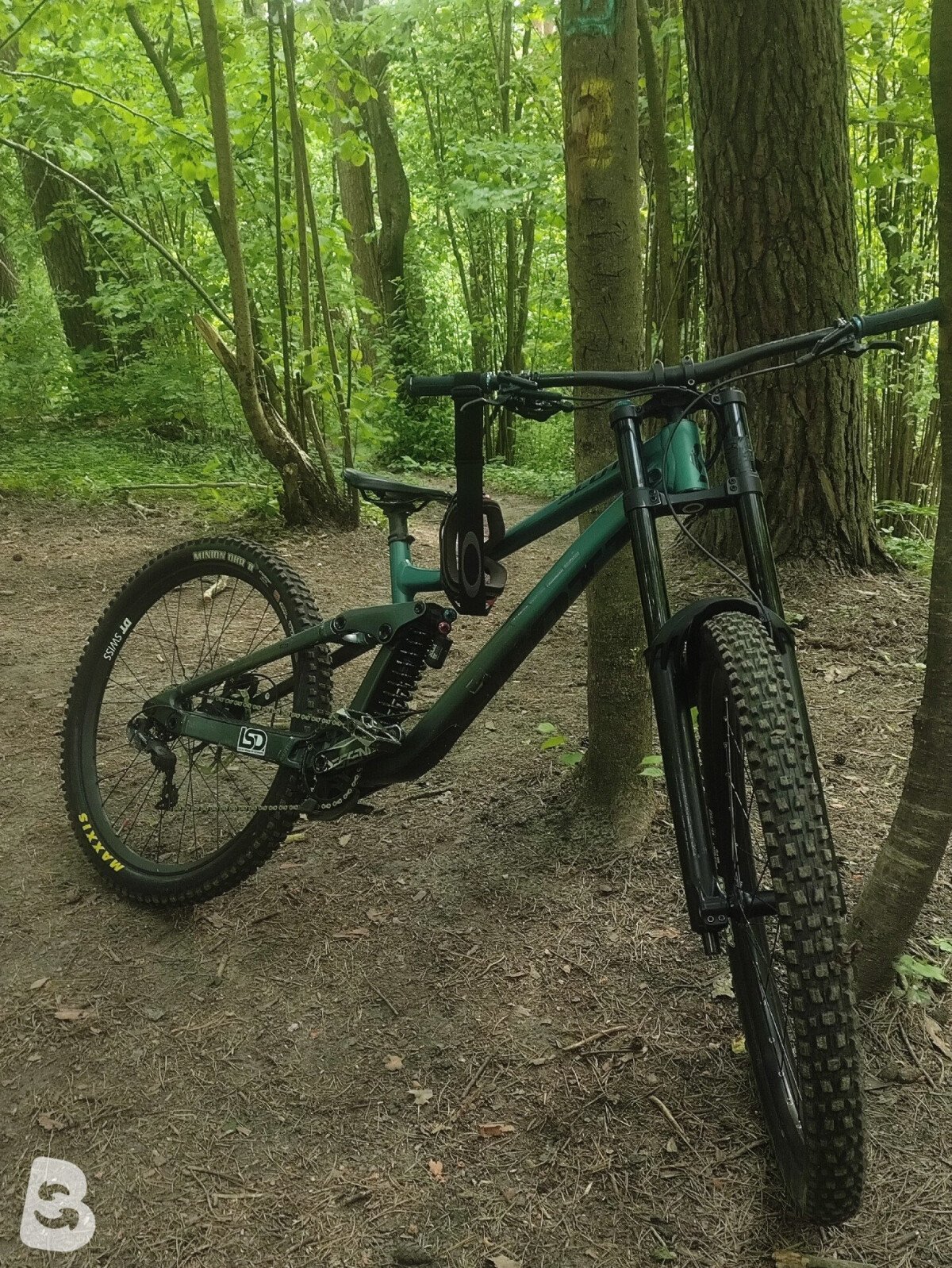 Scott Gambler 910 2023