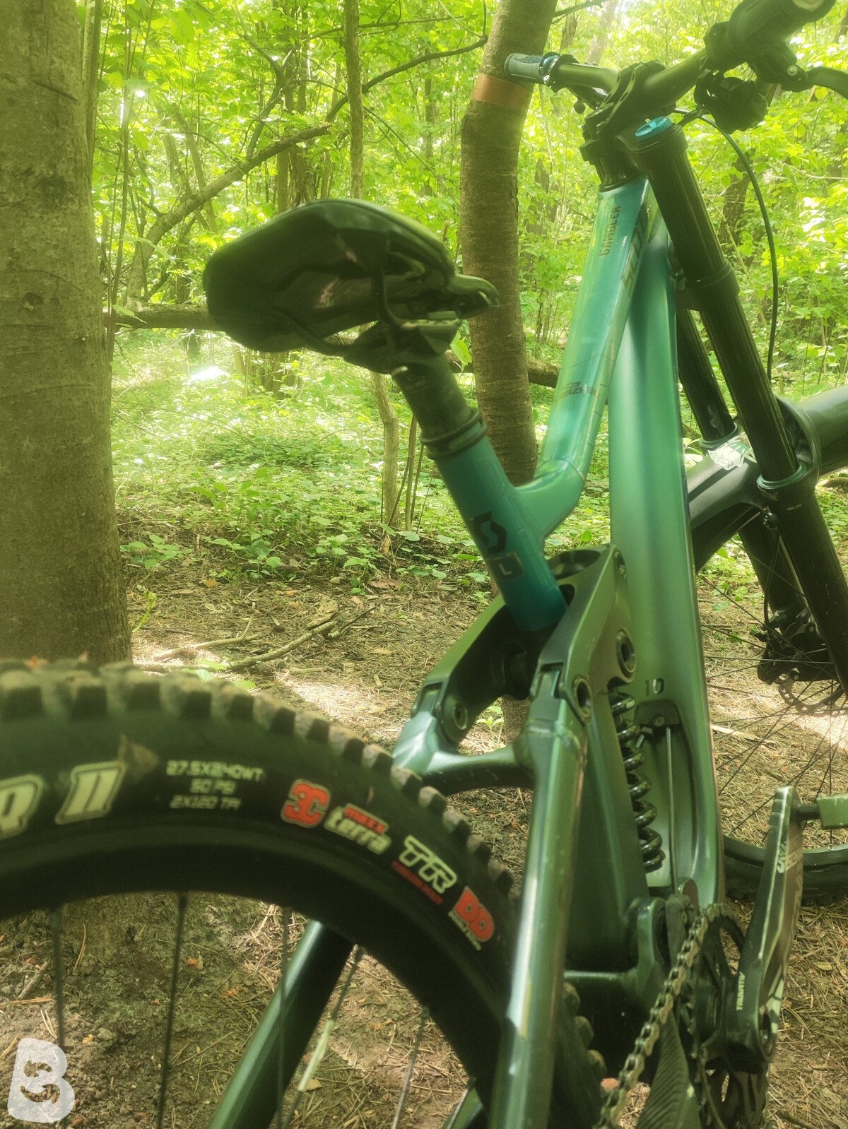 Scott Gambler 910 2023