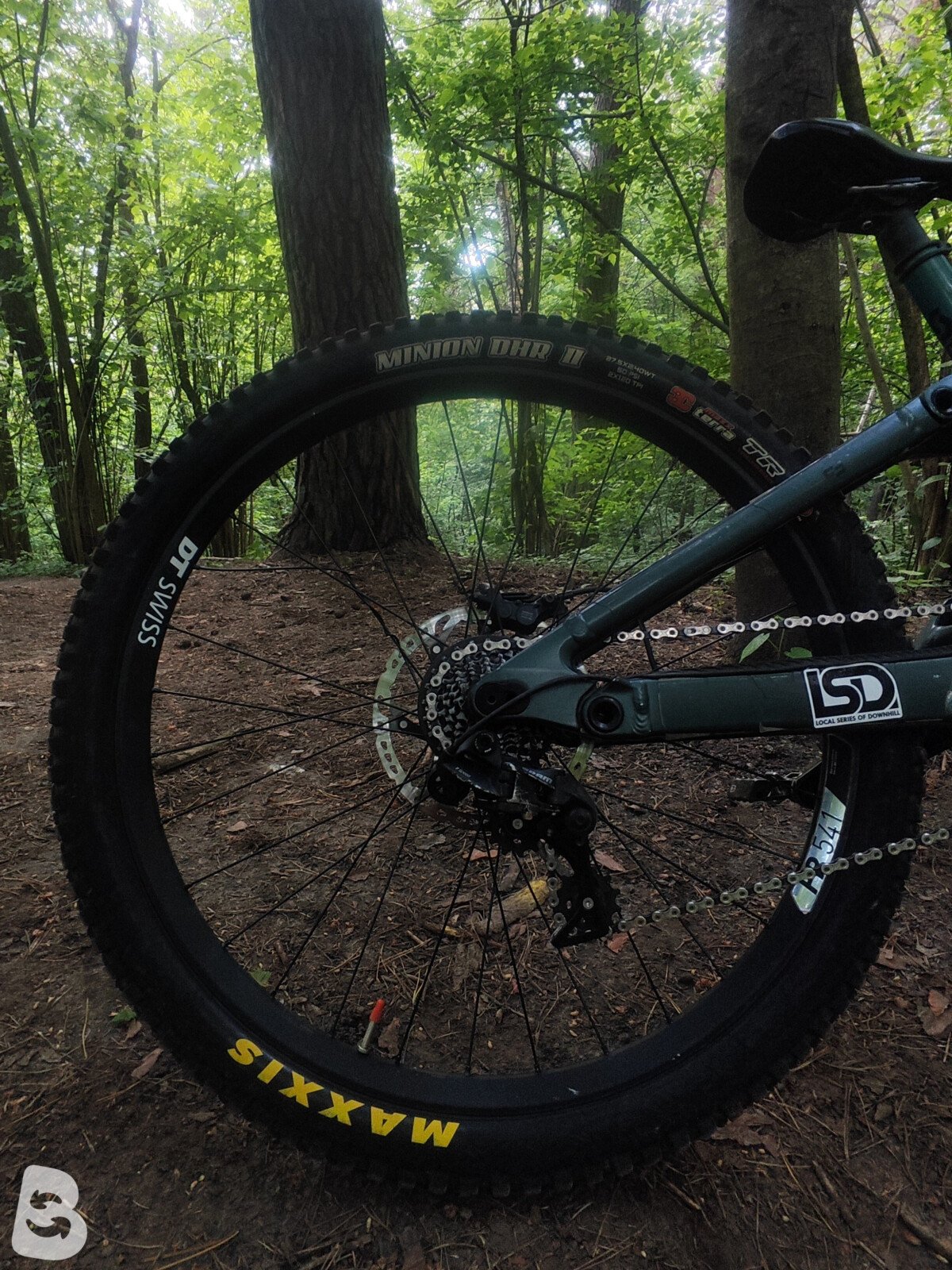 Scott Gambler 910 2023