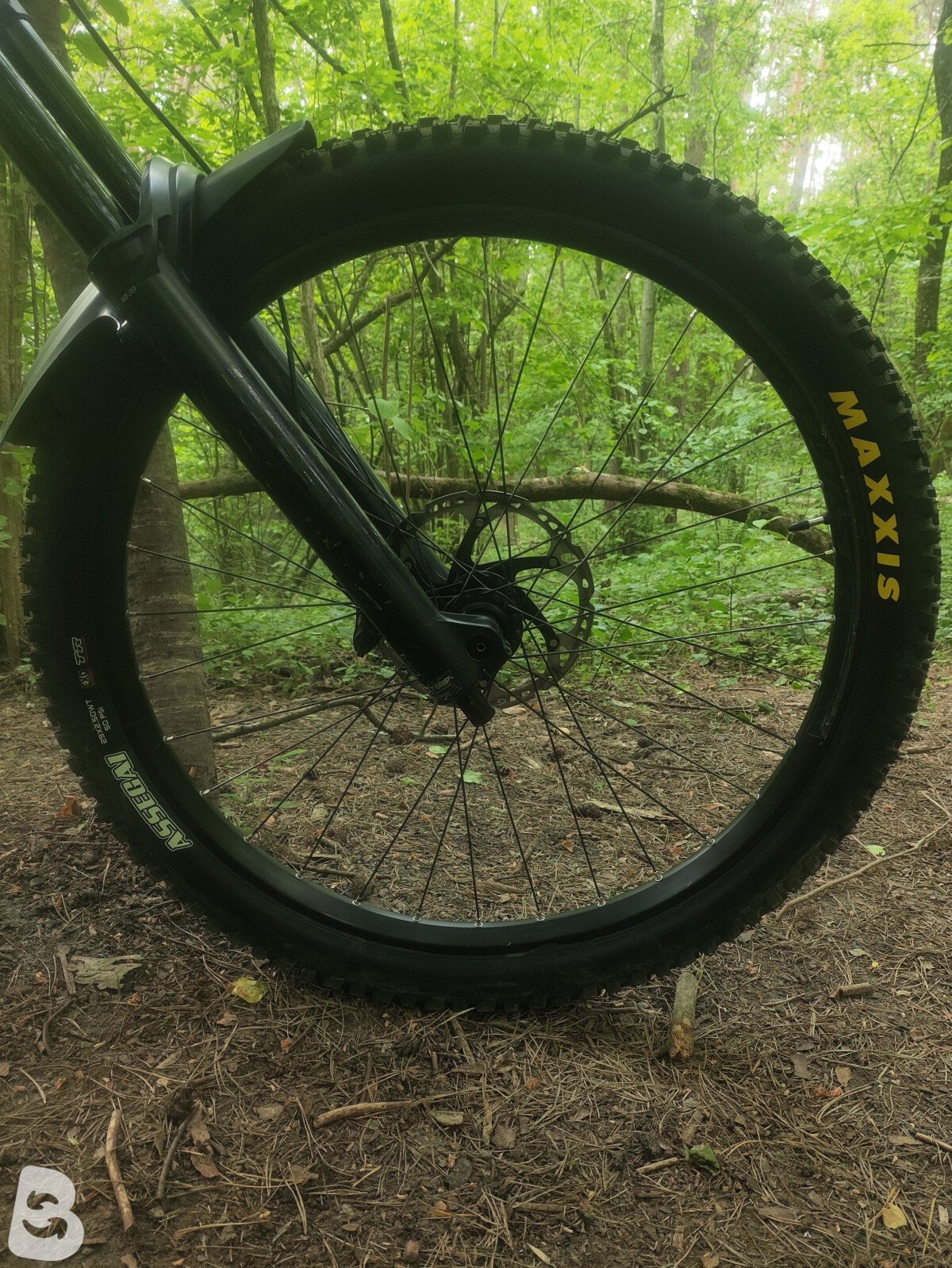 Scott Gambler 910 2023