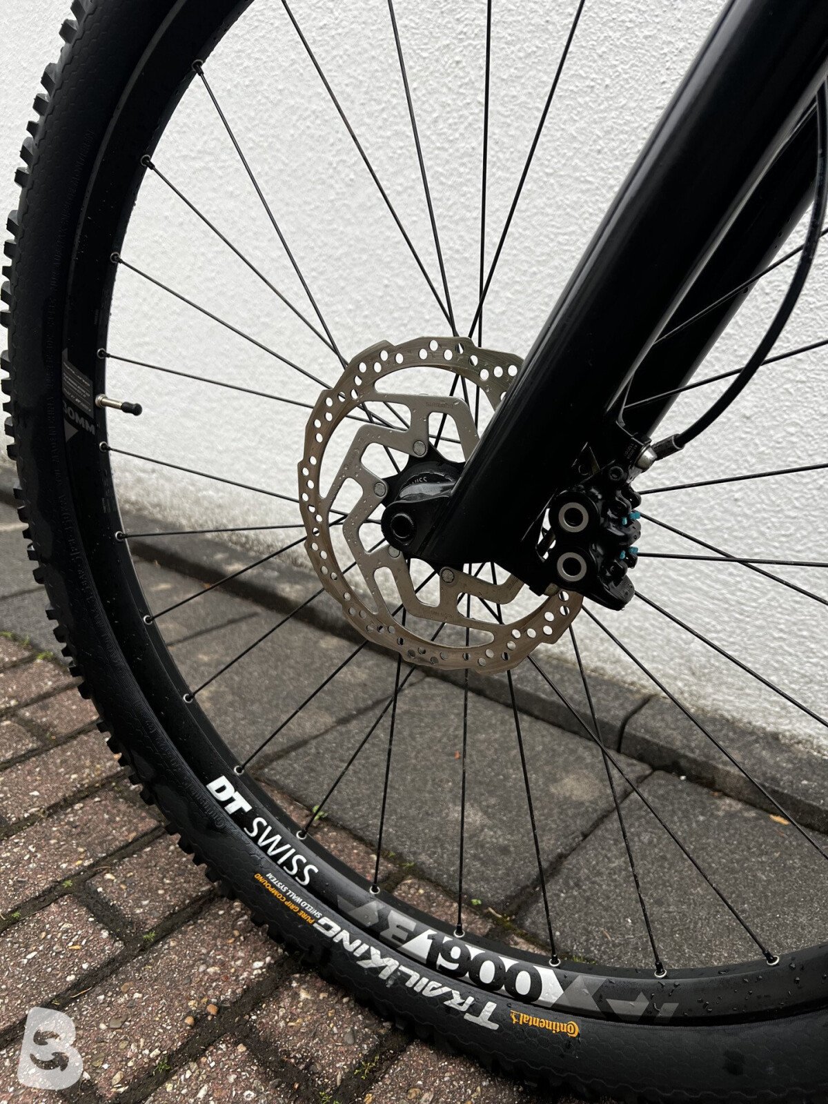 Marin Rift Zone 2 2020