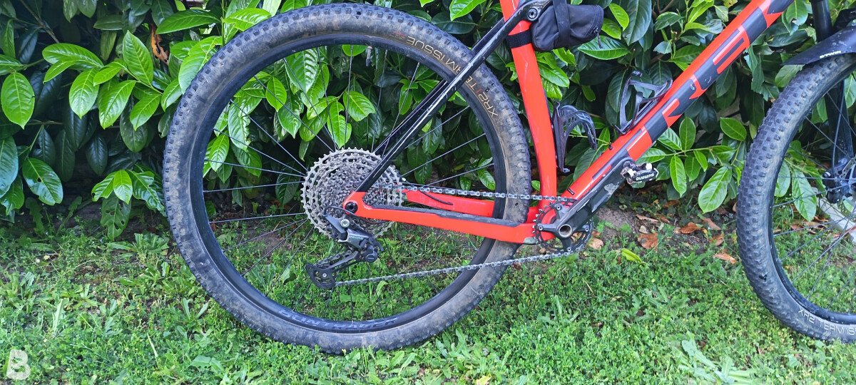 Trek Procaliber 9.5 2024