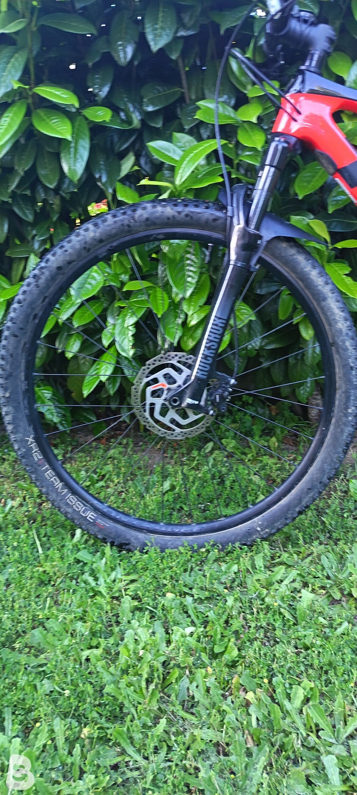 Trek Procaliber 9.5 2024