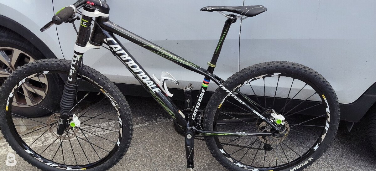 Cannondale Flash Carbon Team 2010