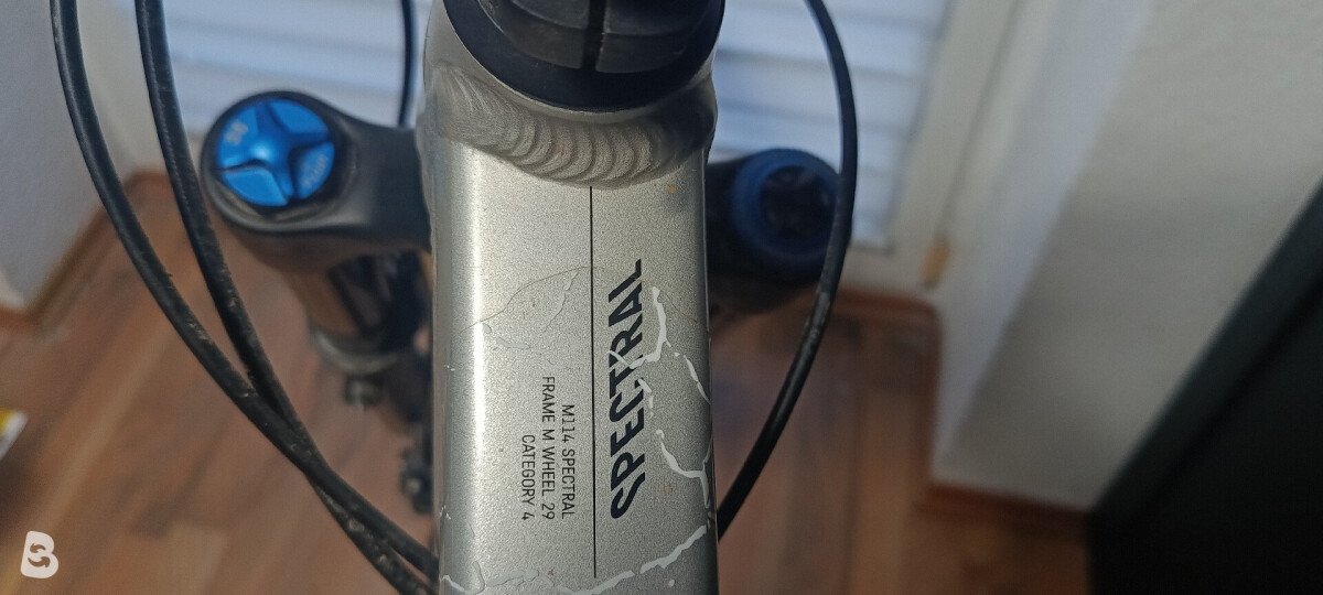 Canyon Spectral AL 5.0 2023