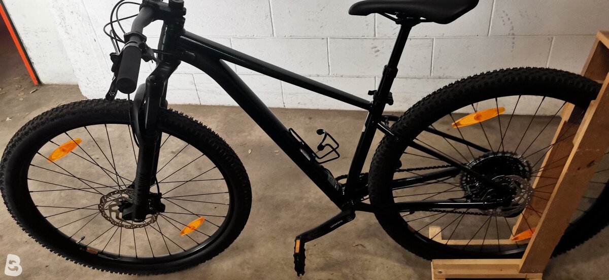 Cannondale Trail SE 2 2021