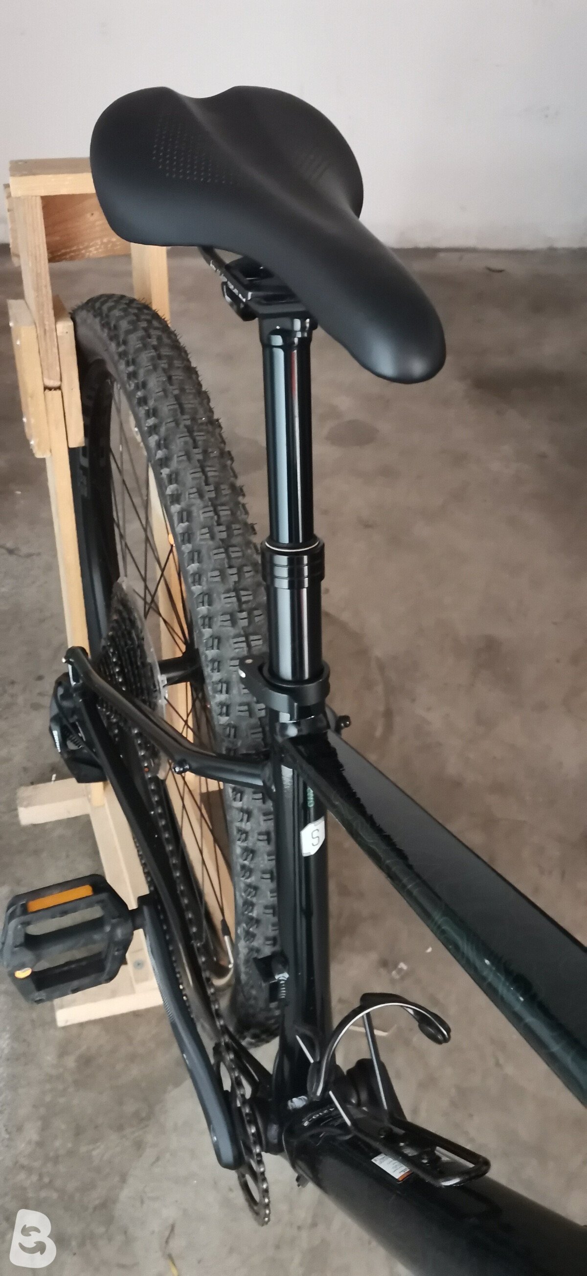 Cannondale Trail SE 2 2021
