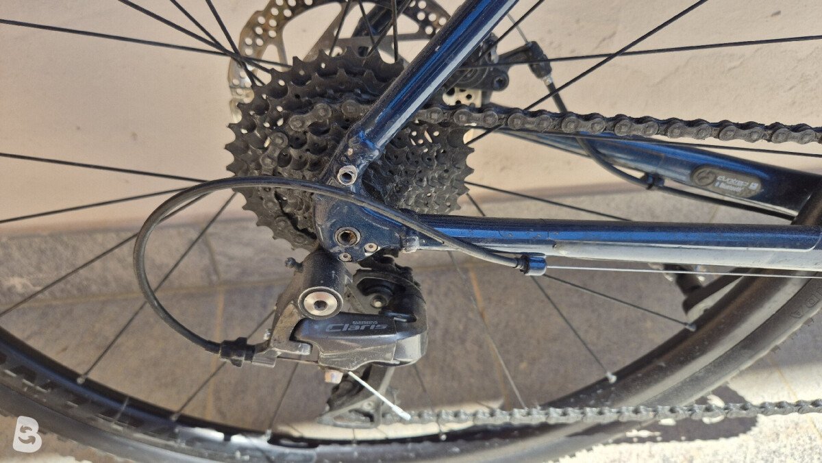 Trek Domane AL 2 Disc 2021