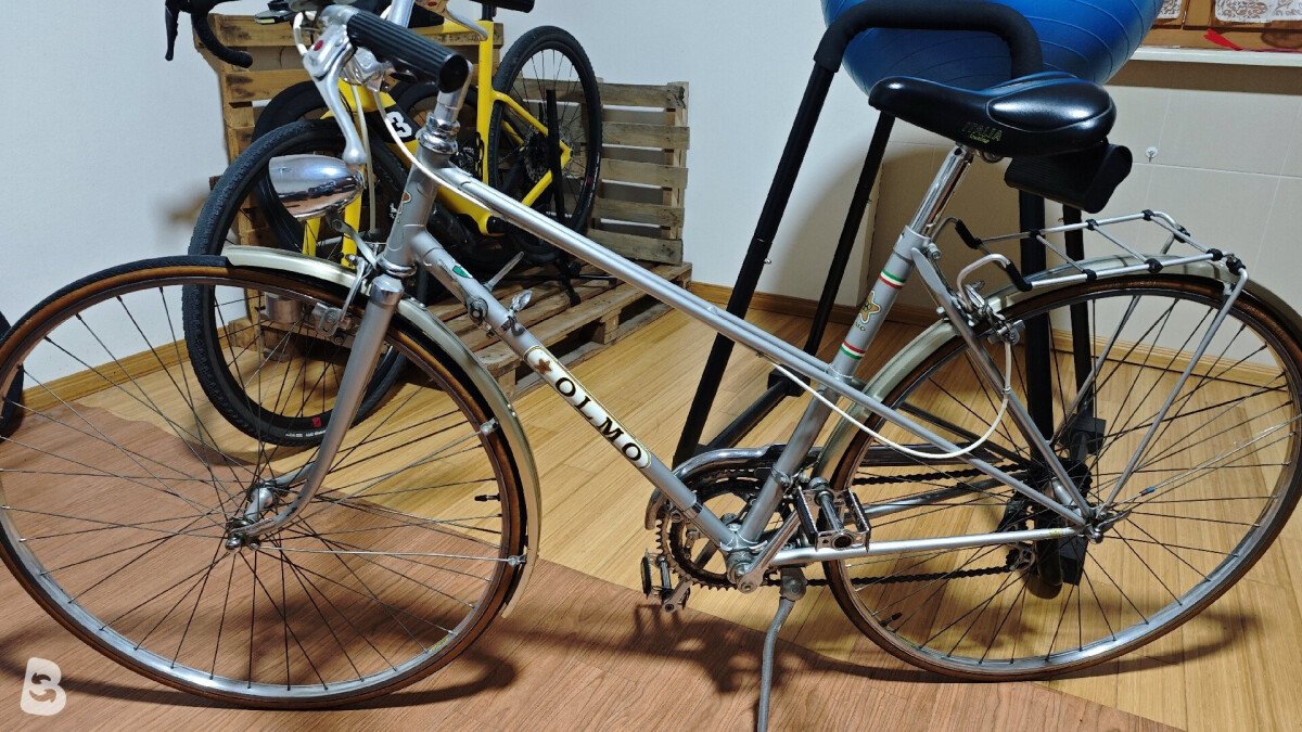 Olmo Vintage