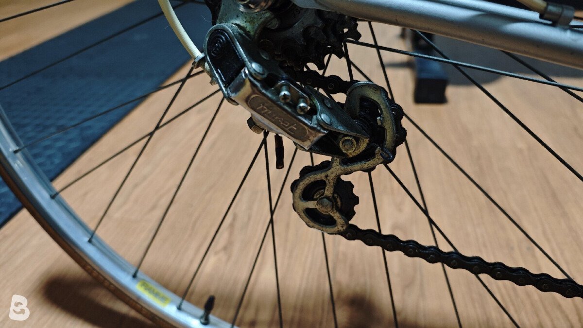 Olmo Vintage