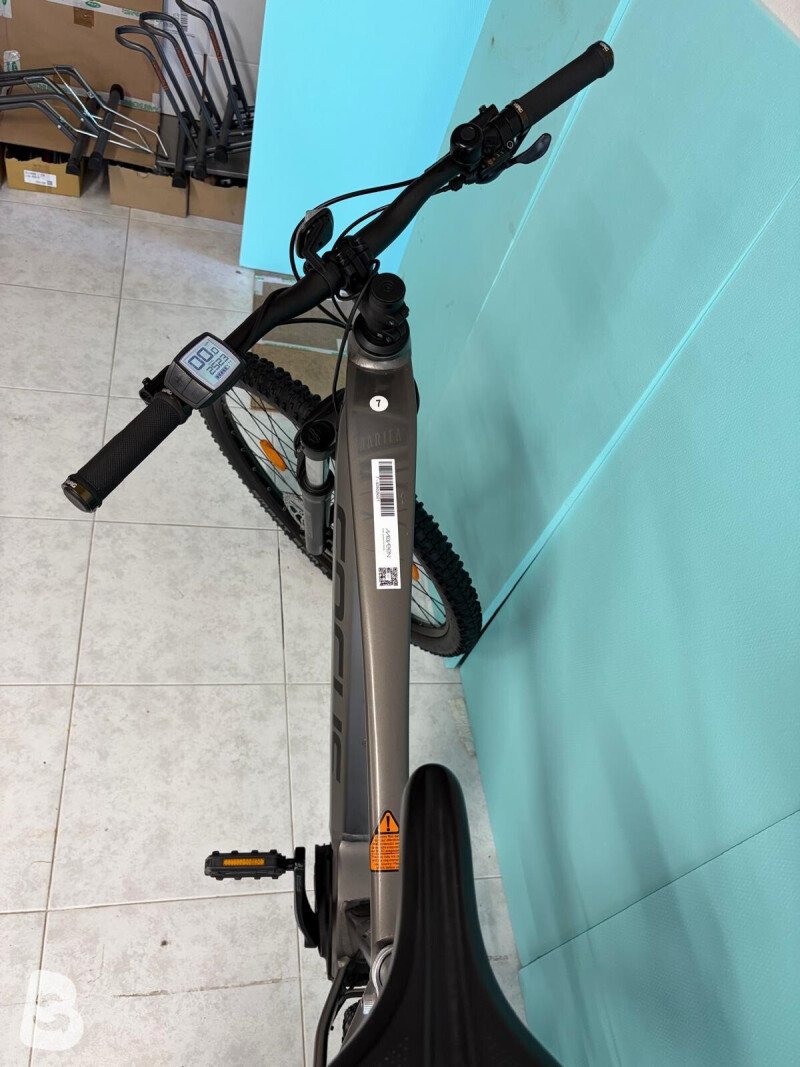 Focus Focus Jarifa 6.7 2021