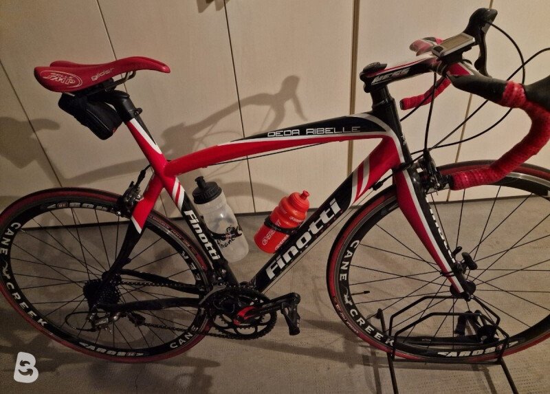 Finotti Ribelle 2012