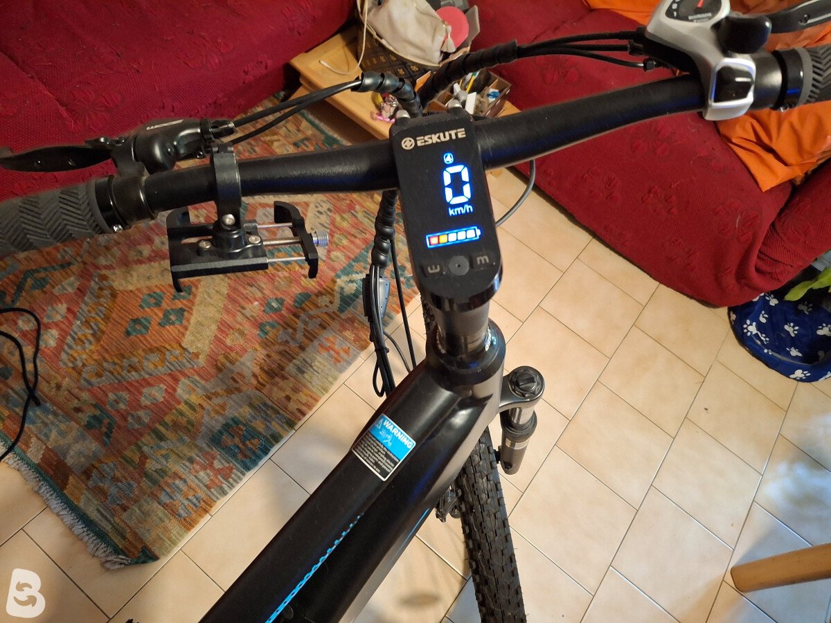 ESKUTE Netuno 2022