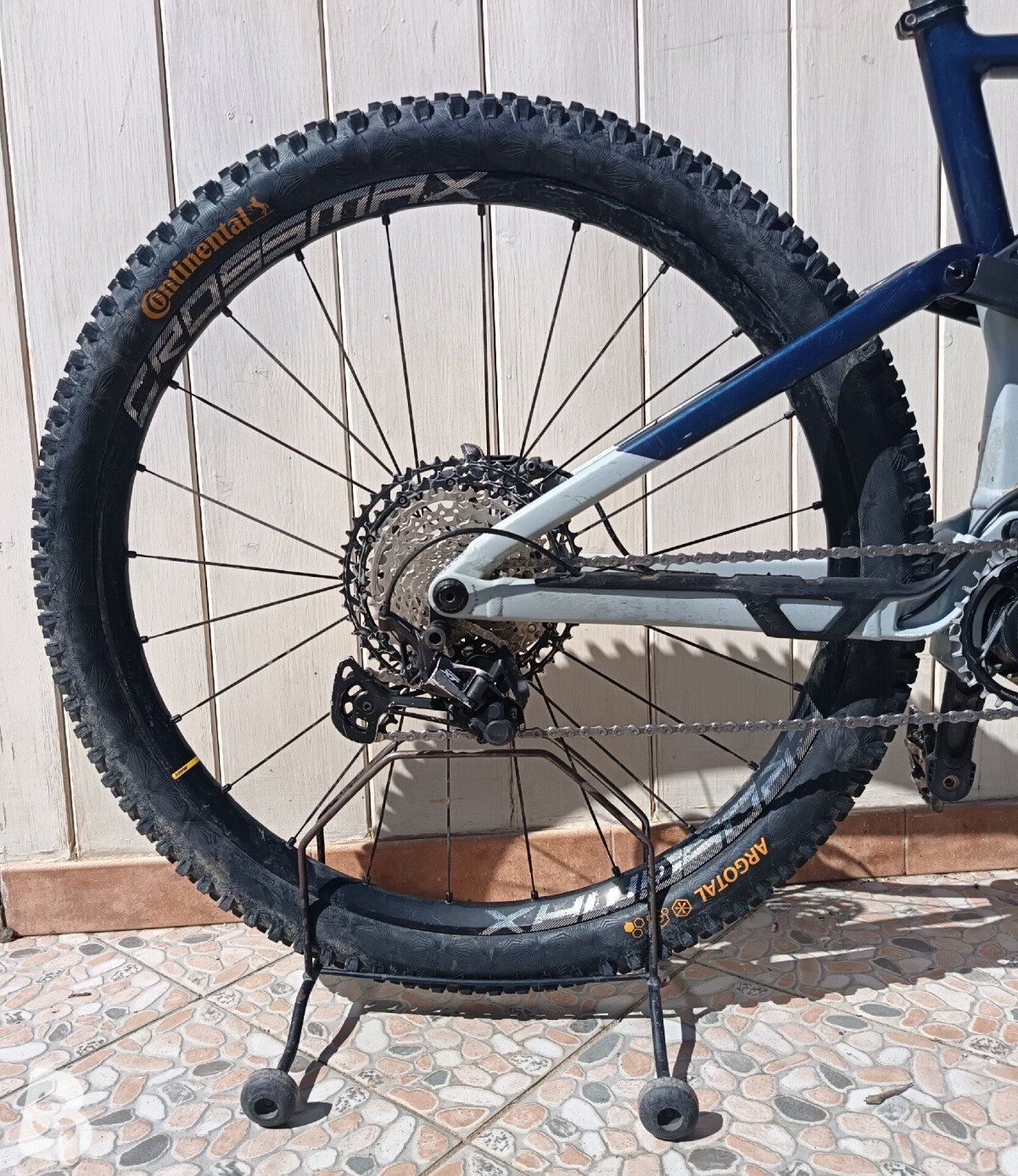 Orbea Rise H10 2023