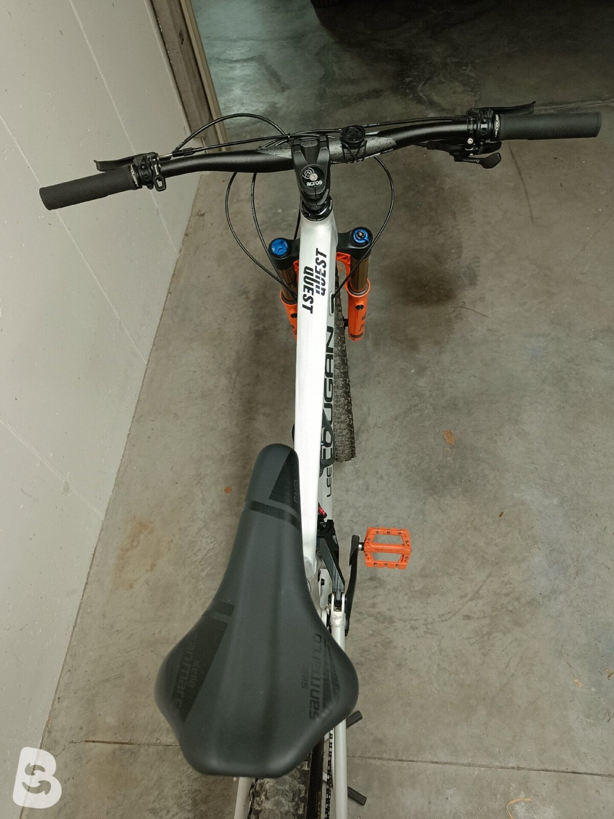 Lee Cougan Quest Team Alloy 2023