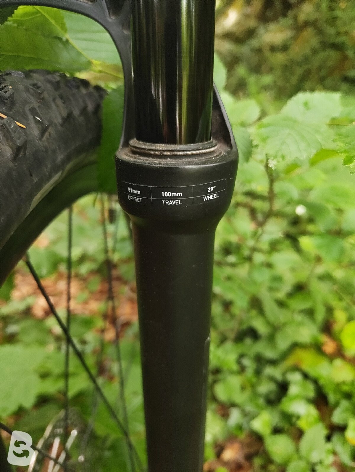 Cube Reaction C:62 Pro 2021