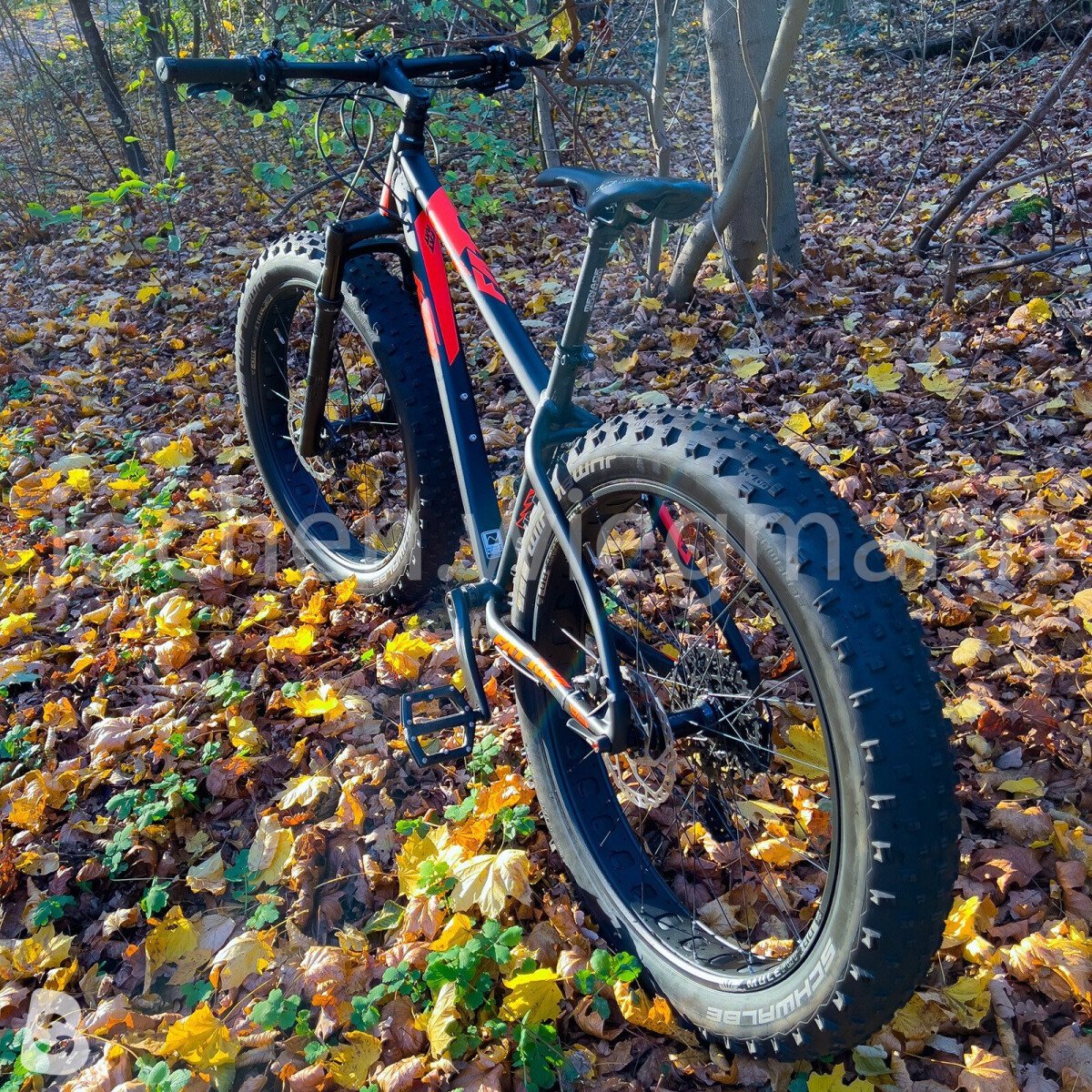 KTM Fat Rat 2017