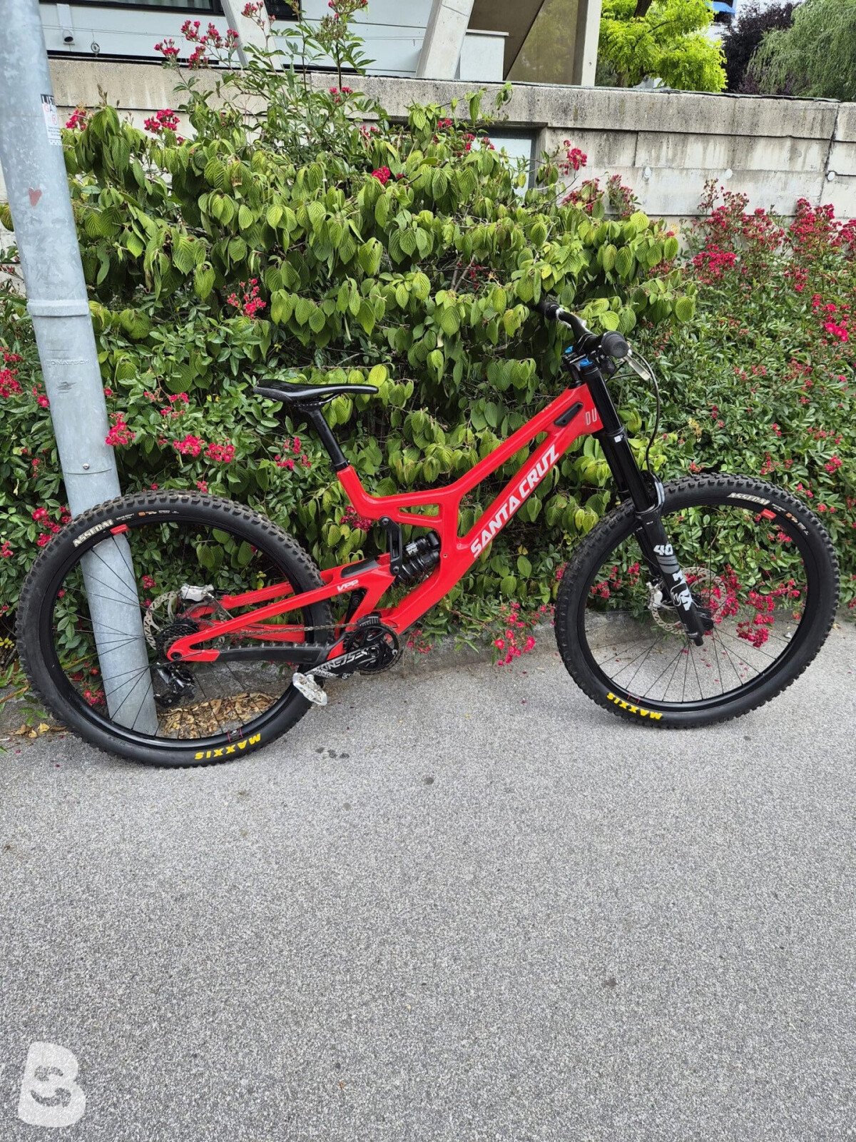 Santa Cruz v10 2024