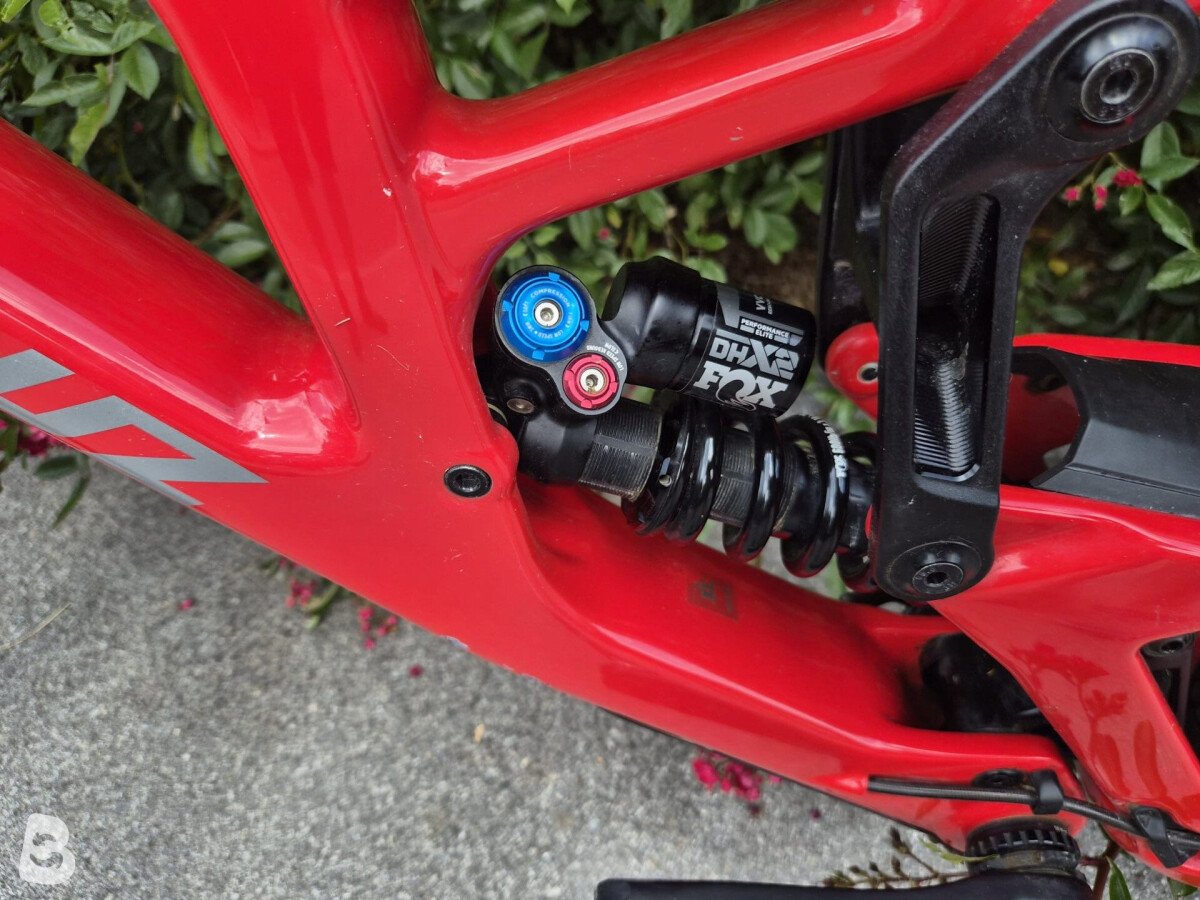 Santa Cruz v10 2024
