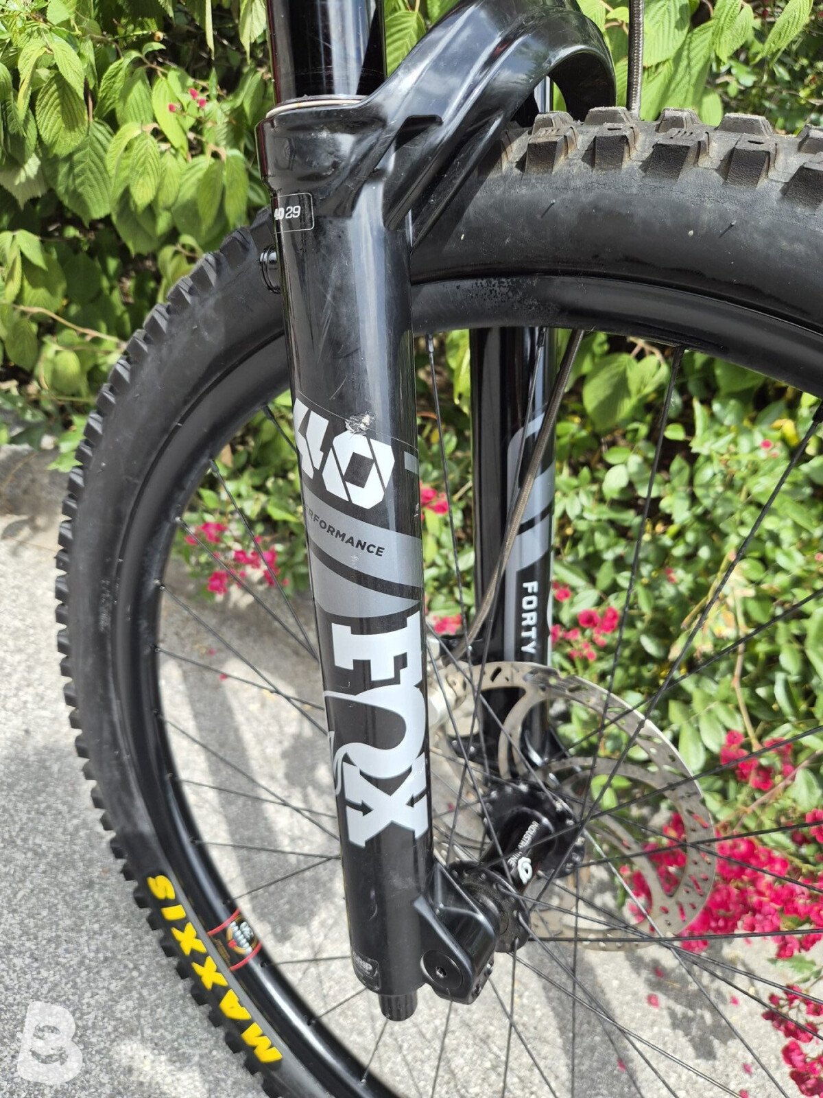 Santa Cruz v10 2024