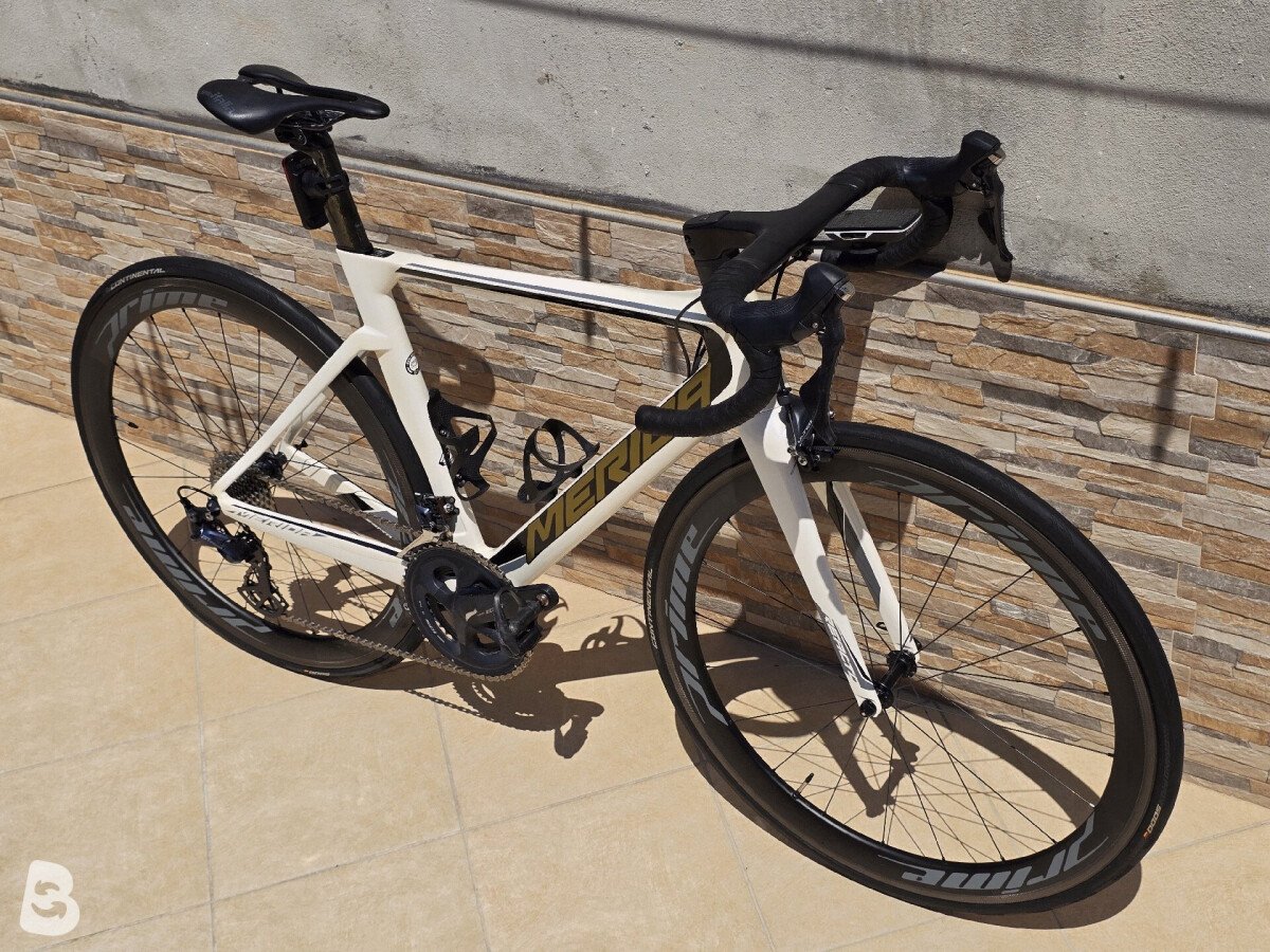 Merida Reacto 5000 2019