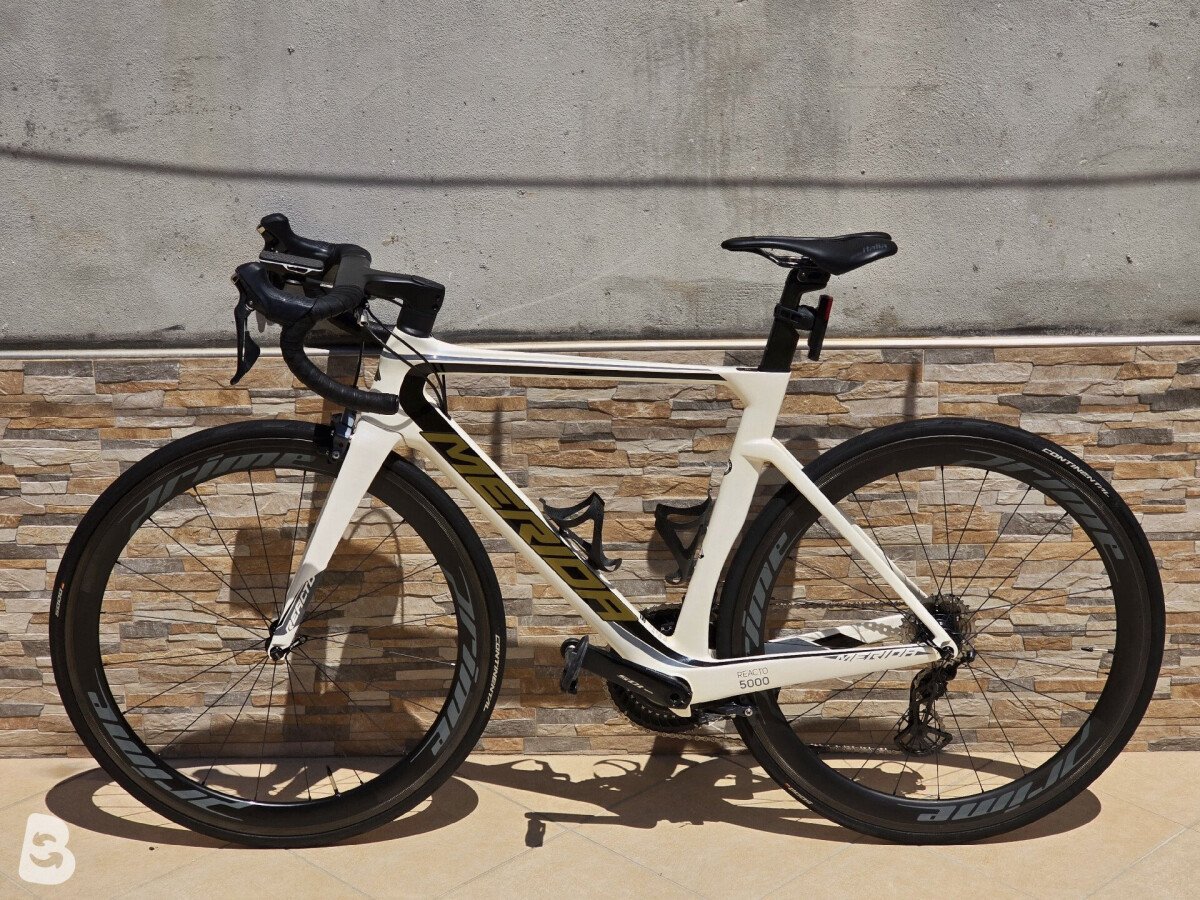 Merida Reacto 5000 2019