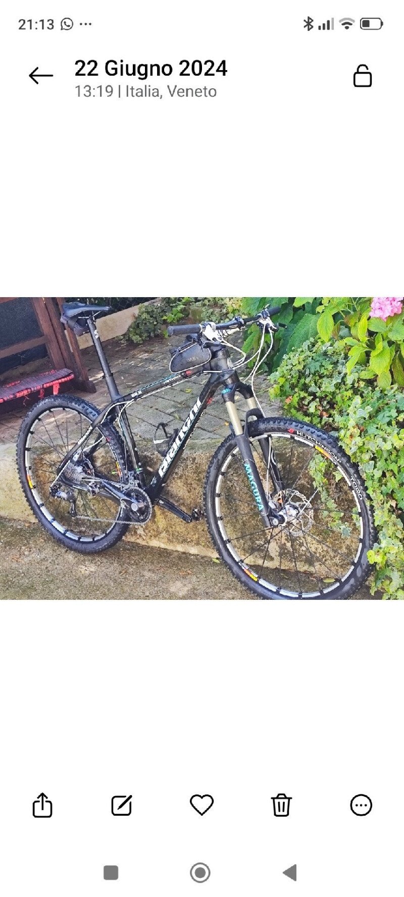 Bianchi Methanol 29 Carbonio 2013