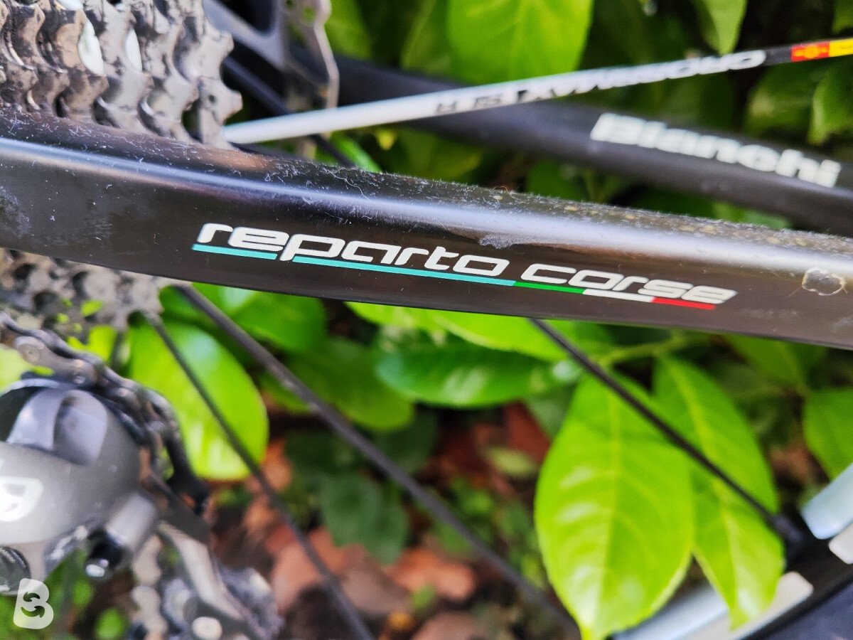 Bianchi Methanol 29 Carbonio 2013