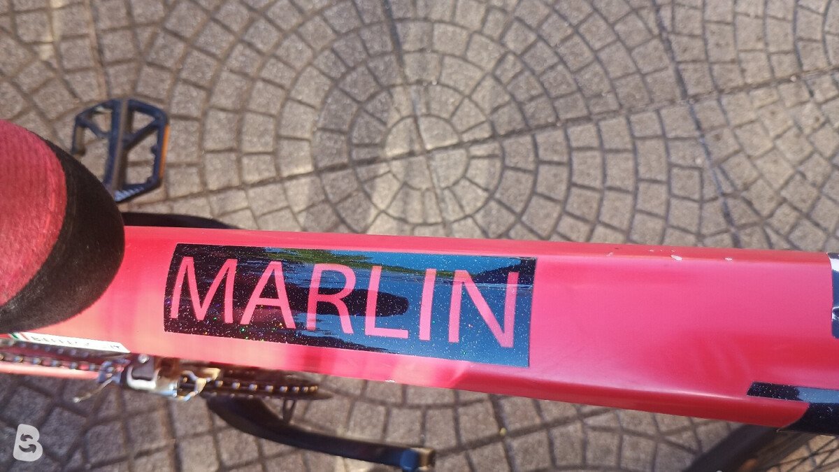 Trek Marlin 6 2021