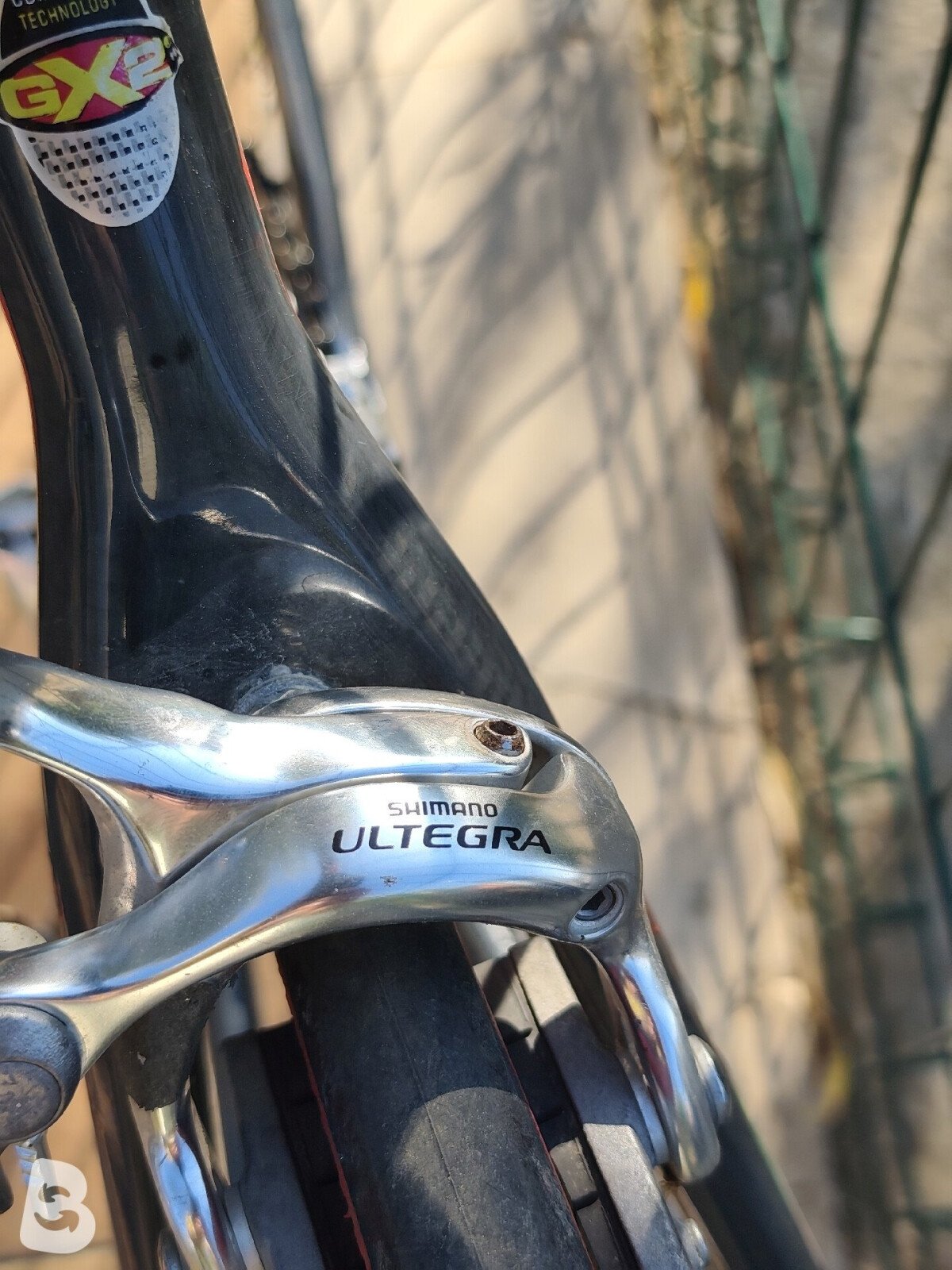 Olmo Corsa 2005